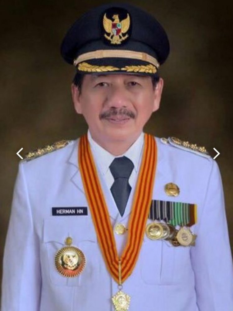 Herman HN Terima SK ketua DPW Partai Nasdem Provinsi Lampung.