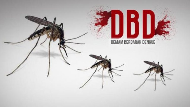 Hati Hati, Penyebaran Penyakit DBD di Lamsel Mulai Meningkat