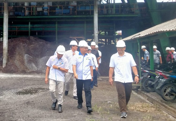 PTPN VII Unit Talopino Kejar Produktivitas TBS 28 Ton Setiap Hektare