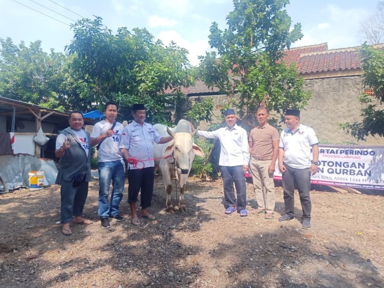 DPW Perindo Provinsi Lampung Bagikan Ratusan Paket Daging Kurban 