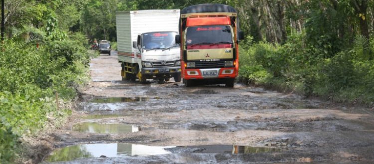 Nanang Akan Bangun Jalan Masuk Menuju Desa Kertosari Kecamatan Tanjung Sari