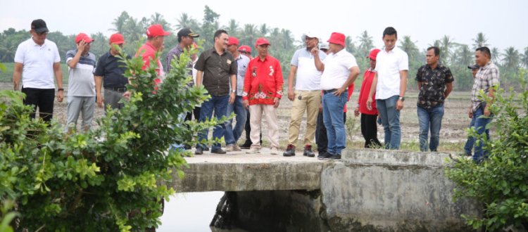 Bupati Lamsel Tinjau Jembatan Roboh di Desa Kedaung