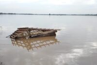 Lahan sawah terendam banjir beberapa waktu lalu (foto. Ist)