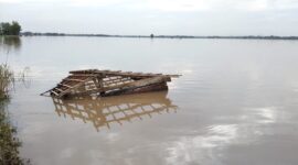 Lahan sawah terendam banjir beberapa waktu lalu (foto. Ist)