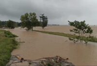 Lahan sawah di wilayah Kecamatan Palas, Lampung Selatan terendam banjir. (Foto: Istimewa)