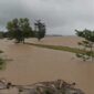 Lahan sawah di wilayah Kecamatan Palas, Lampung Selatan terendam banjir. (Foto: Istimewa)