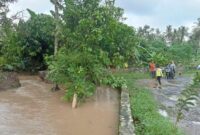 Tanggul Penangkis di Bendungan Way Pisang Dusun Sukamaju, Desa Sukaraja, Kecamatan Palas, Lampung Selatan jebol, Minggu, 9 Februari 2025. (Foto.Juwantoro)