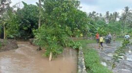 Tanggul Penangkis di Bendungan Way Pisang Dusun Sukamaju, Desa Sukaraja, Kecamatan Palas, Lampung Selatan jebol, Minggu, 9 Februari 2025. (Foto.Juwantoro)