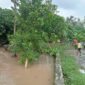 Tanggul Penangkis di Bendungan Way Pisang Dusun Sukamaju, Desa Sukaraja, Kecamatan Palas, Lampung Selatan jebol, Minggu, 9 Februari 2025. (Foto.Juwantoro)