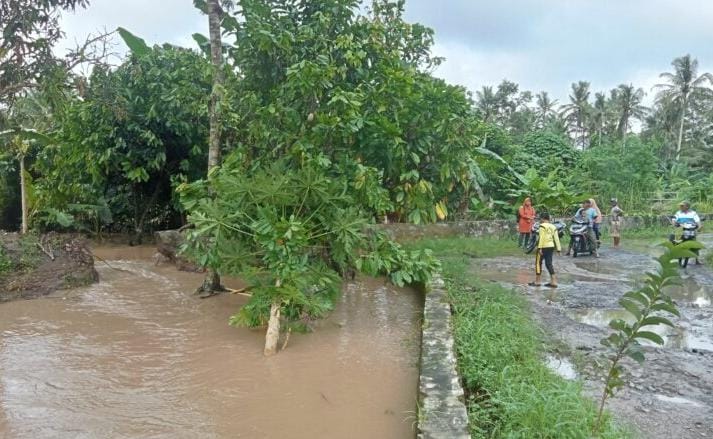 Tanggul Penangkis di Bendungan Way Pisang Dusun Sukamaju, Desa Sukaraja, Kecamatan Palas, Lampung Selatan jebol, Minggu, 9 Februari 2025. (Foto.Juwantoro)