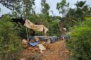 Poto: aktivitas tambang emas ilegal yang ditemukan di Bukit Jambi, Dusun 7, Desa Gunung Katun, Kecamatan Baradatu.(ist).