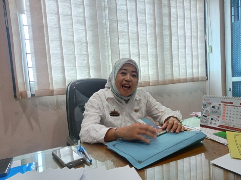 Direktur RSUD Bob Bazar Kalianda dr.Reny Indrayani