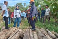 Wakil Ketua DPRD Lampung Selatan Bella Jayanti tinjau jembatan yang dikeluhkan masyarakat Desa Tajimalela, Kecamatan Kalianda, Selasa, 13 Mei 2025. (Foto.Juwantoro)