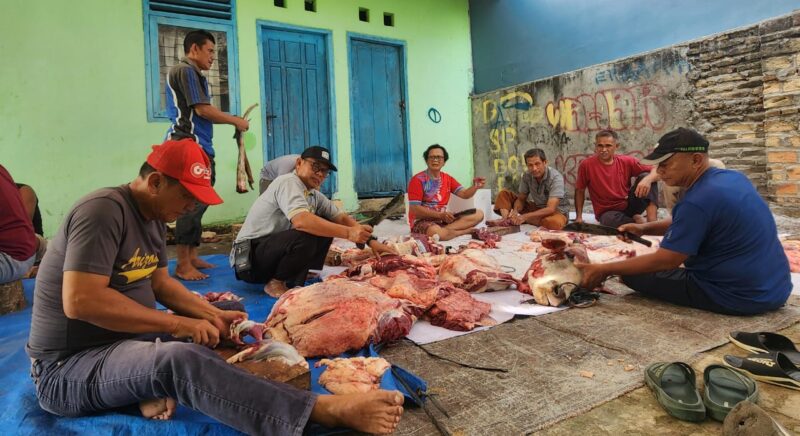 Suasana pemotongan hewan kurban di lingkungan Rt 03 Perumnas Hartono Kalianda.