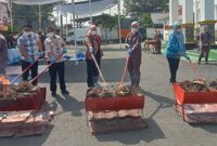 Kajari Lampung Selatan Afni Carolina dan Perwakilan dari Polres, Kodim 0421, Pengadilan Negeri (PN) Kalianda dan Dinas Kesehatan Lamsel bakar ganja merupakan barang bukti yang telah memiliki kekuatan hukum tetap, Kamis, 12 Juni 2025. (Foto.Juwantoro)