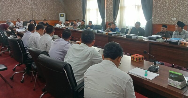 Badan Anggaran DPRD Lampung Selatan dan TAPD Lamsel Bahas Soal PPPk. foto. jJuwantoro)