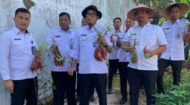 Kepala Lapas Kalianda Beni Nurrahman, panen matang hasil produksi warga binaan. (Foto.Dok.Lapas Kalianda)