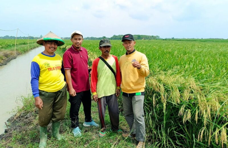 Pihak dari CV KSM bersama kelompok tani Desa Candipuro (ist).