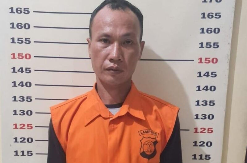 Poto: Pelaku yang berhasil diringkus Aparat Polsek Kalianda  ( ist ).