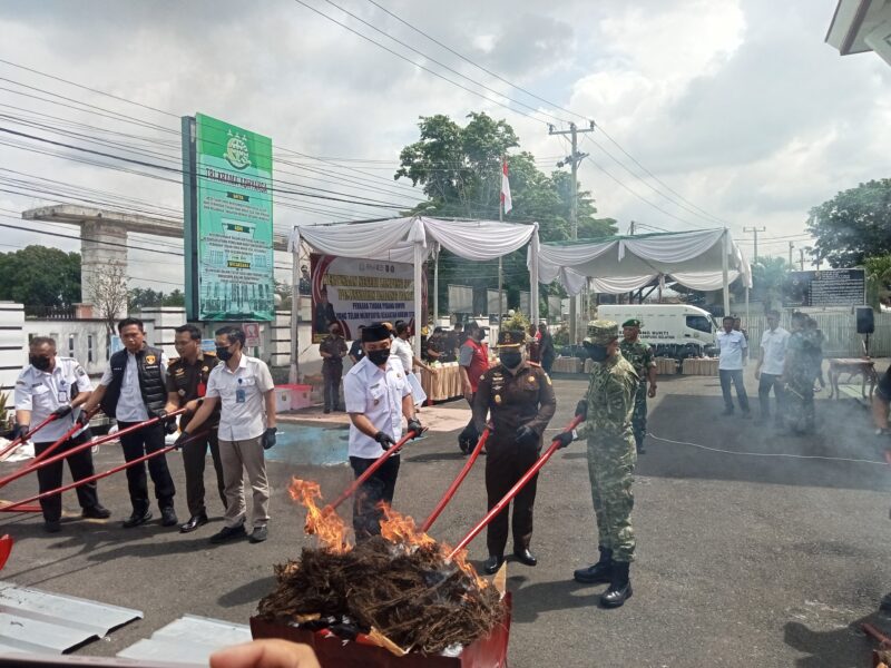 Kajari Lampung Selatan Suci Wijayanti, Wakil Bupati Lamsel M.Syaiful Anwar, Dandim 0421 LS Letkol Kav.M.Nuril Ambiyah dan perwakilan Polres Lamsel, Kepala Dinkes setempat Sumatri musnahkan barang bukti tindak pidana umum yang telah memiliki kekuatan hukum tetap. (Foto.Juwantoro)