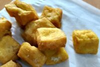 Menu MBG berupa tahu berjamur dikeluhkan wali murid SDN 1 Way Urang, Kalianda