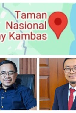 Perdagangan Karbon Jadi Opsi Pendanaan Lingkungan di Lampung