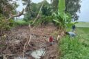 Petani tengah membersihkan sampah menumpuk disungai sebabkan banjir (foto.Juwantoro)