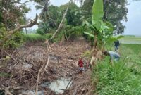 Petani tengah membersihkan sampah menumpuk disungai sebabkan banjir (foto.Juwantoro)