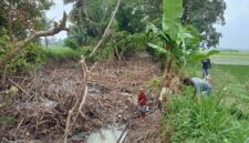 Petani tengah membersihkan sampah menumpuk disungai sebabkan banjir (foto.Juwantoro)