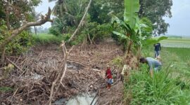 Petani tengah membersihkan sampah menumpuk disungai sebabkan banjir (foto.Juwantoro)