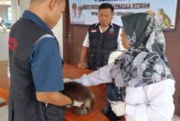 Petugas tengah memberikan pelayanan vaksin rabies secara gratis. Foto.Dok.Dinas Peternakan Lamsel