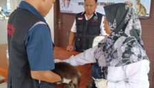 Petugas tengah memberikan pelayanan vaksin rabies secara gratis. Foto.Dok.Dinas Peternakan Lamsel