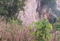 Poto: Tampak alat berat yang di kerajaan pihak penambang batu di Desa Berannti Raya Kecamatan Natat (ist)