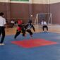 Poto: Hapkido Lampung Championship & Try Out Porprov X Lampung 2026 (ist)