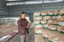 Pimpinan Cabang Bulog Kalianda, Lampung Selatan tengah mengecek minyak goreng di gudang, Senin, 9 Juni 2026. (Foto.Juwantoro)