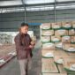 Pimpinan Cabang Bulog Kalianda, Lampung Selatan tengah mengecek minyak goreng di gudang, Senin, 9 Juni 2026. (Foto.Juwantoro)
