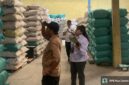 Poto: BRMP melakukan verifikasi stok benih di gudang CV Karya Sentosa Makmur.