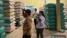 Poto: BRMP melakukan verifikasi stok benih di gudang CV Karya Sentosa Makmur.