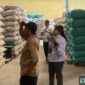 Poto: BRMP melakukan verifikasi stok benih di gudang CV Karya Sentosa Makmur.