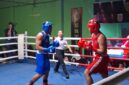 Atlet Lampung di ajang VIP Boxing Road to PON Beladiri 2026 di PKOR Way Halim (Hms/KONI Lpg).