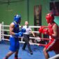 Atlet Lampung di ajang VIP Boxing Road to PON Beladiri 2026 di PKOR Way Halim (Hms/KONI Lpg).