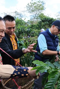 PHC Ubah Wajah Perkebunan Kopi Lampung, Gubernur Mirza Dorong Produktivitas Kopi Meningkat