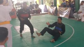 Poto: Kejuaraan Pencak silat di gelar IPSI Lampung (dok Humas KONI).