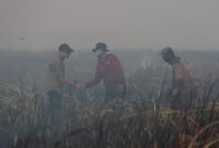 Poto: Gubernur Lampung Saat mendatangi lokasi kebakaran di Desa Braja Harjosari, Kecamatan Braja Selebah, Kabupaten Lampung Timur (dok KMF/ Lpg).