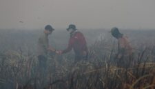 Poto: Gubernur Lampung Saat mendatangi lokasi kebakaran di Desa Braja Harjosari, Kecamatan Braja Selebah, Kabupaten Lampung Timur (dok KMF/ Lpg).