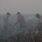 Poto: Gubernur Lampung Saat mendatangi lokasi kebakaran di Desa Braja Harjosari, Kecamatan Braja Selebah, Kabupaten Lampung Timur (dok KMF/ Lpg).