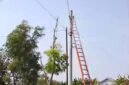 Petugas PLN tengah mengecek tegangan listrik