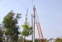 Petugas PLN tengah mengecek tegangan listrik