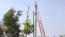 Petugas PLN tengah mengecek tegangan listrik