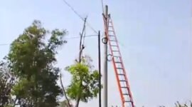 Petugas PLN tengah mengecek tegangan listrik